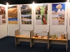 Exposição Fotográfica FENAJEEP - jun 2010