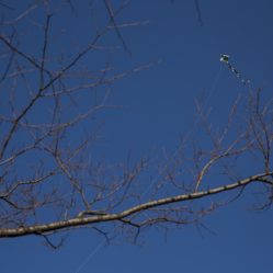 Um pipa no céu azul de Seul