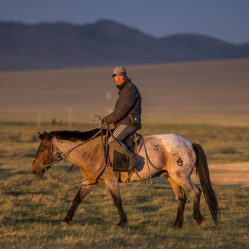 Mongol e seu melhor amigo, o cavalo