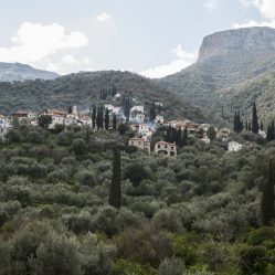 Vilas de pedra no meio das oliveiras
