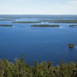 Lago Pielinen