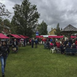 Festa numa vila da Suécia