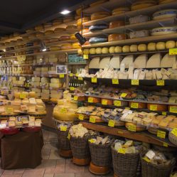 Variedade enorme de queijos